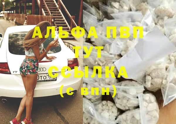 ПСИЛОЦИБИНОВЫЕ ГРИБЫ Белокуриха