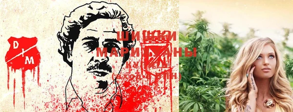 ПСИЛОЦИБИНОВЫЕ ГРИБЫ Белокуриха