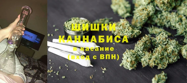 ПСИЛОЦИБИНОВЫЕ ГРИБЫ Белокуриха