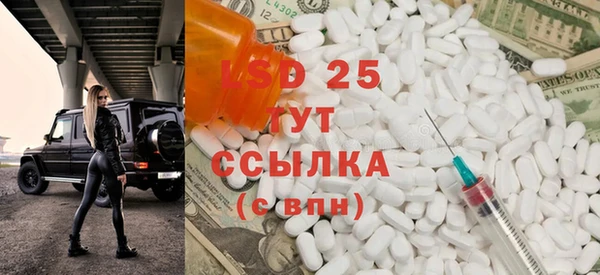 ПСИЛОЦИБИНОВЫЕ ГРИБЫ Белокуриха