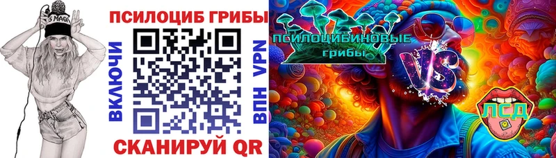 Купить  Кстово  Псилоцибиновые грибы мицелий 
